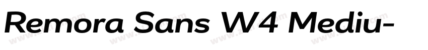 Remora Sans W4 Mediu字体转换